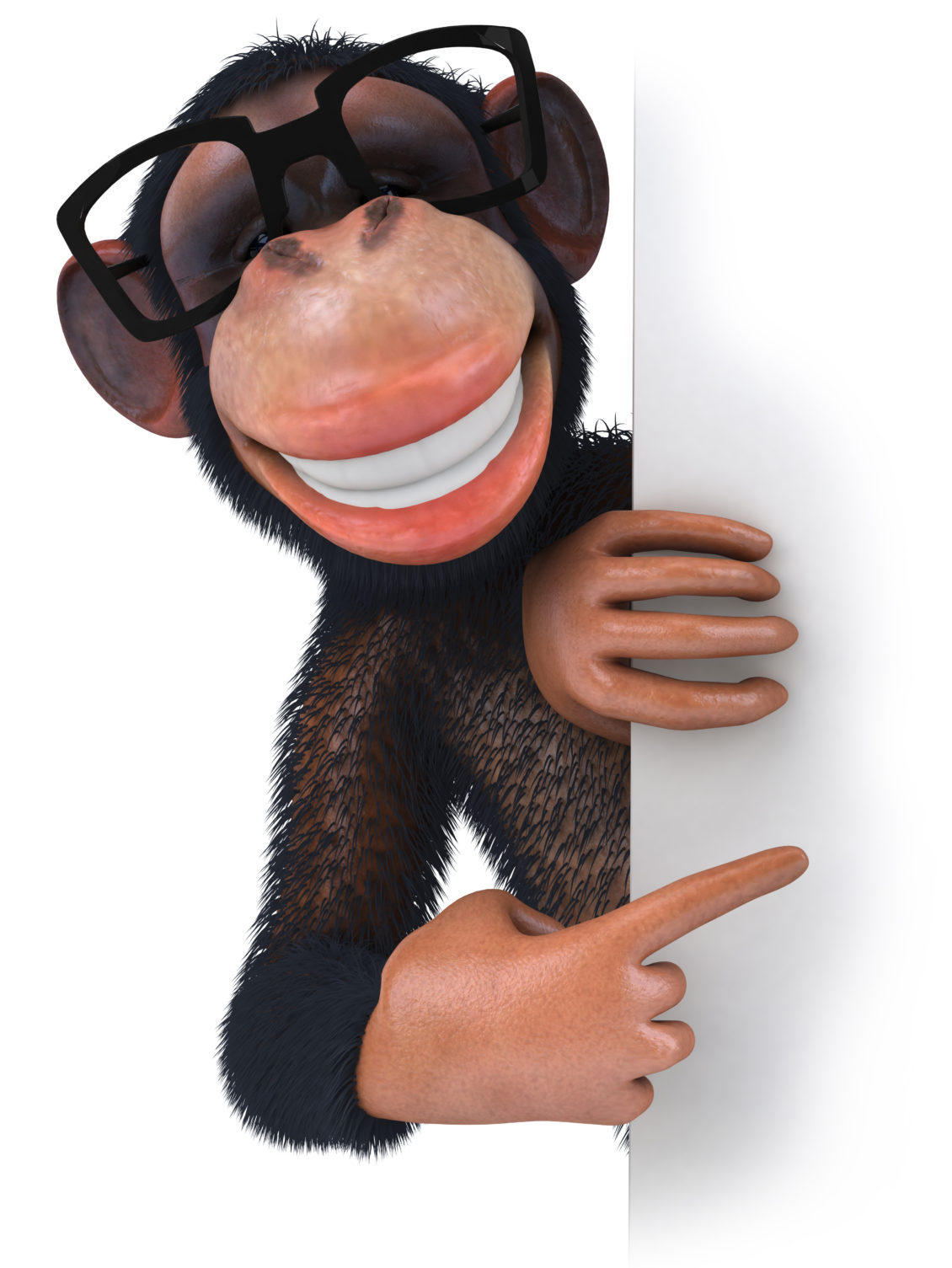 Pointing Monkey Buyer's Agents