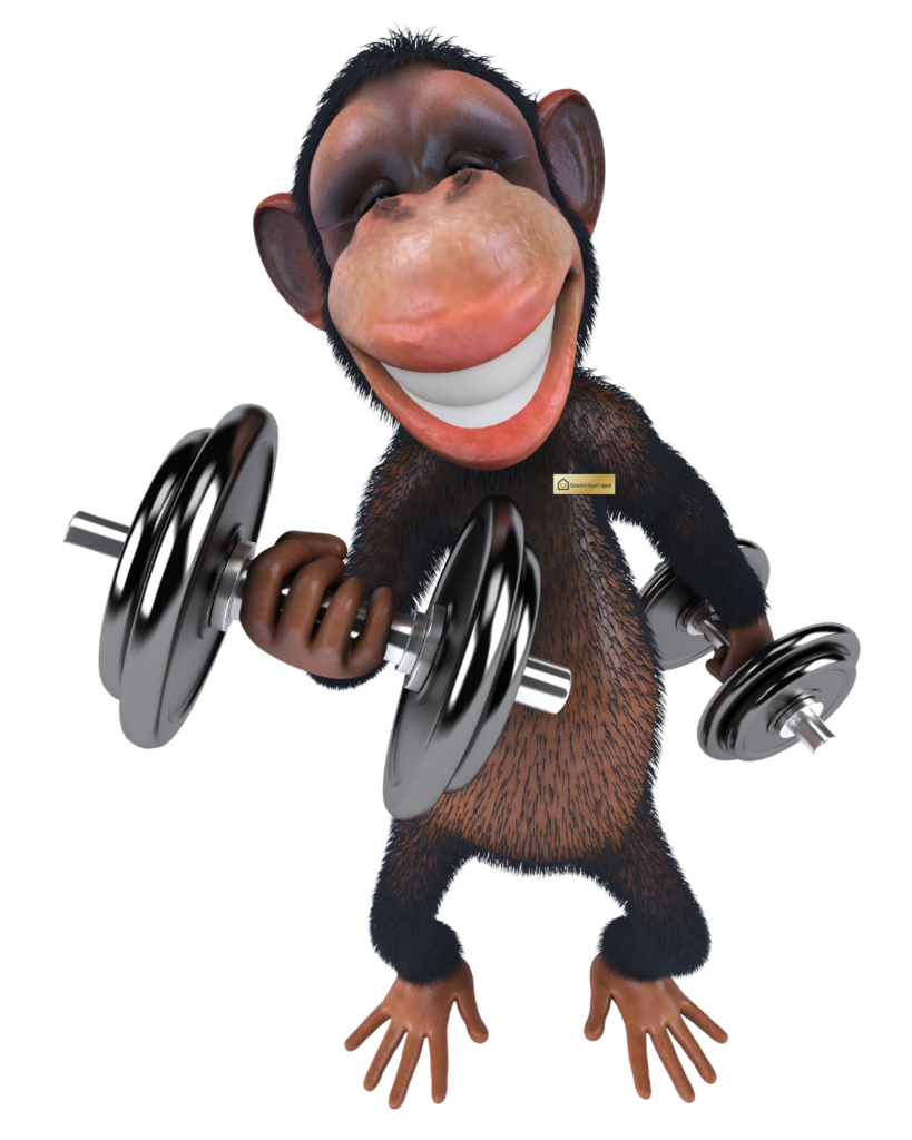 Body Builder Monkey Flat -Fee Rebate
