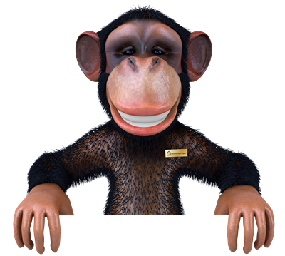 monkey-holding Monkey Holding