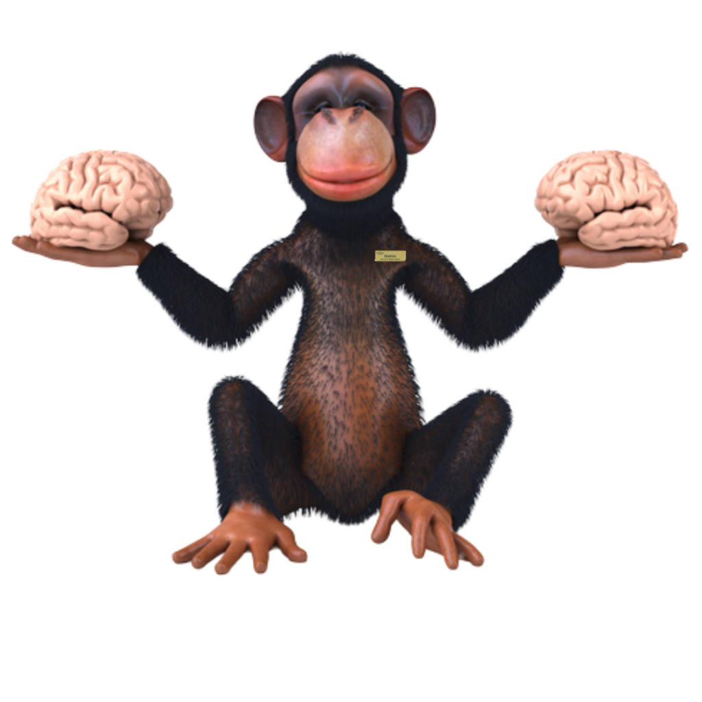 monkey with brains